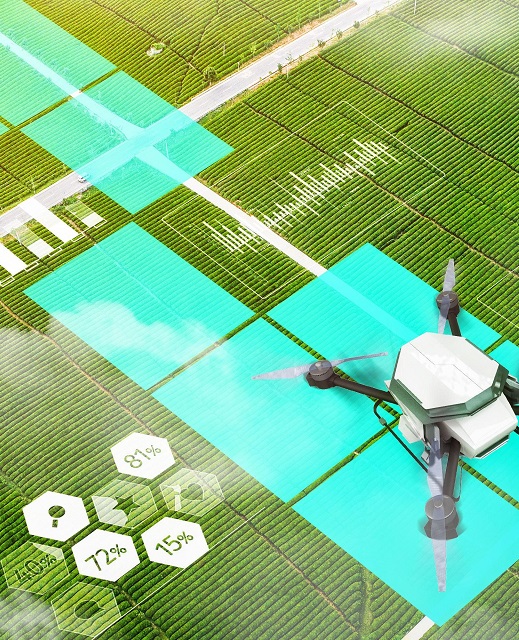 2026世界杯下注平台